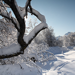 Winterlandschaft